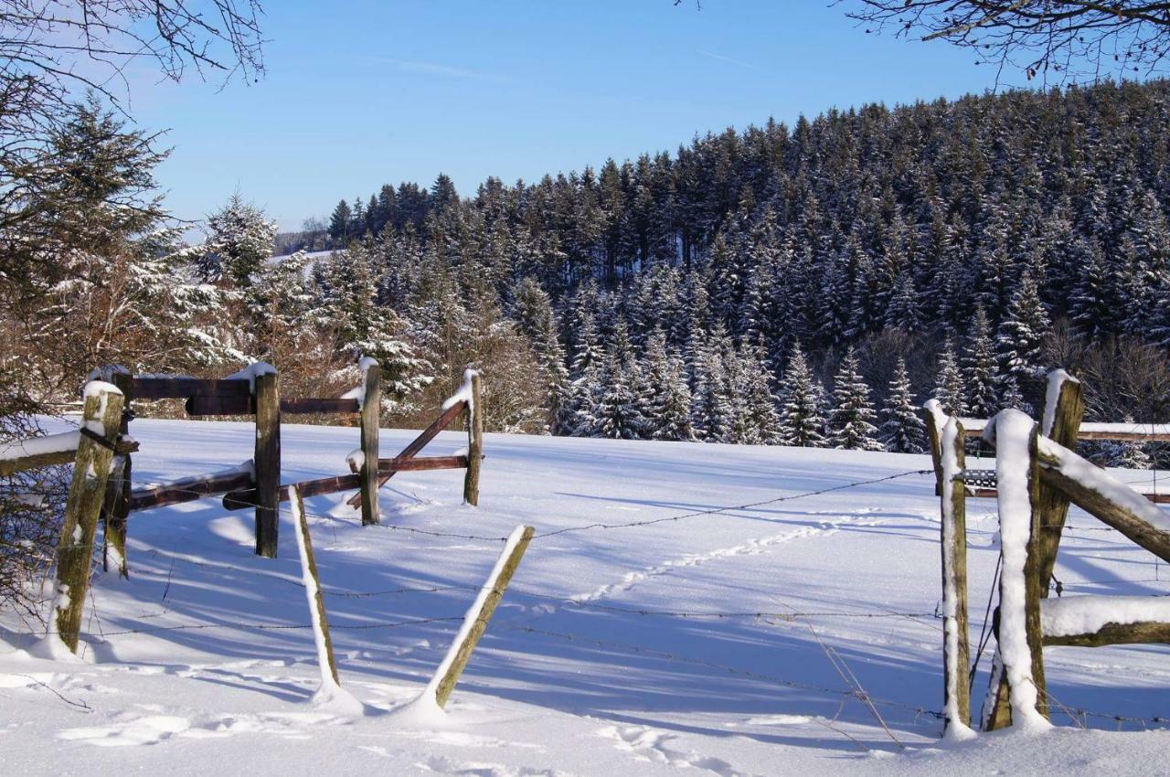 Chalet "A L Oree Du Bois" ビューリンゲン エクステリア 写真